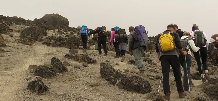 Group of climbers joining Machame Route hike